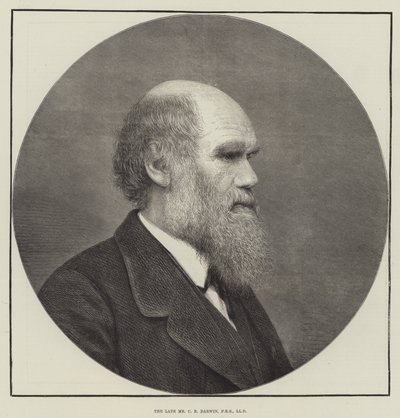 Avdøde Mr CR Darwin, FRS, LLD av English School