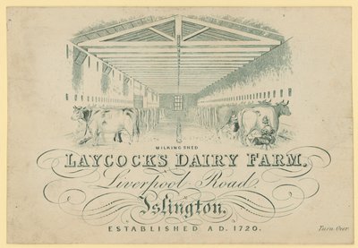 Melkeskuret, Laycocks Dairy Farm, Liverpool Road, Islington av English School
