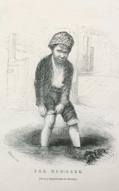 The mud-lark av English School