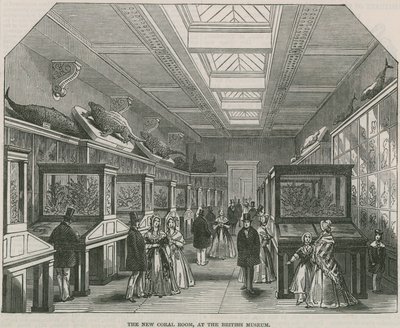 Det nye korallrommet på British Museum av English School