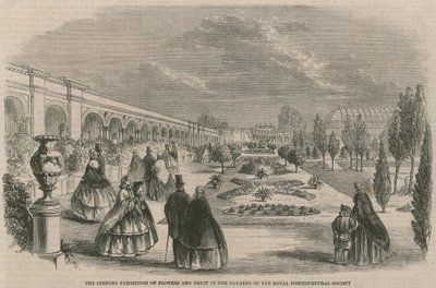 Åpningsutstillingen med blomster og frukt i hagen til Royal Horticultural Society av English School