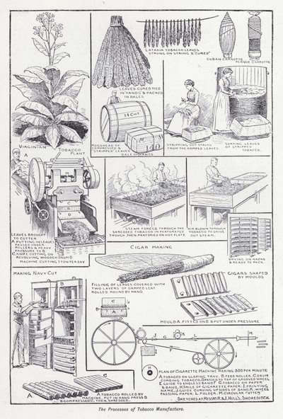 Prosessene for tobakksproduksjon (litho) av English School