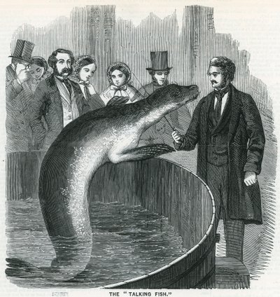 Den snakkende fisken av English School