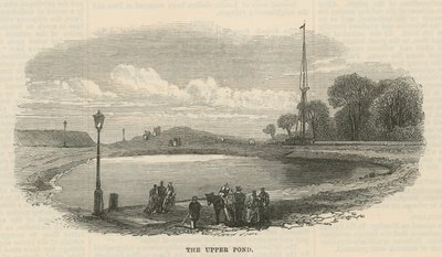 Den øvre dammen, Hampstead Heath av English School