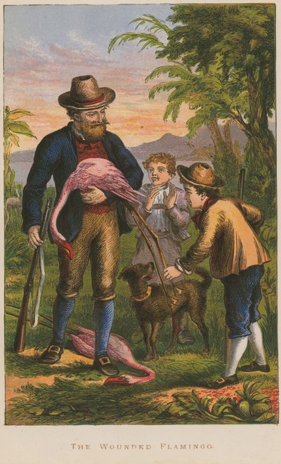 Der verwundete Flamingo von English School