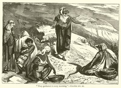 "De samlet det hver morgen", Exodus, xvi, 21 (gravering) av English School