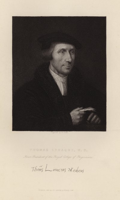 Thomas Linacre av English School