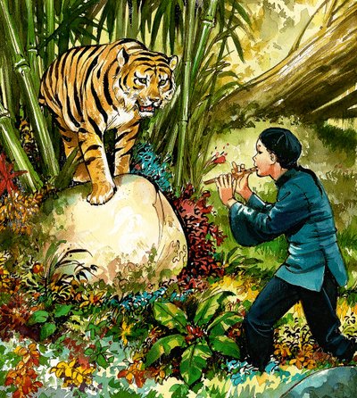 Tiger blir spilt til på fløyte av English School