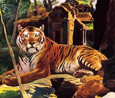 Tiger i ruinene av English School
