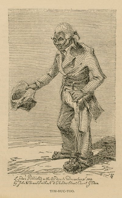 Tim-buc-også av English School