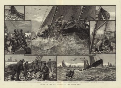 Sliter av havet tråler på Doggerbanken av English School