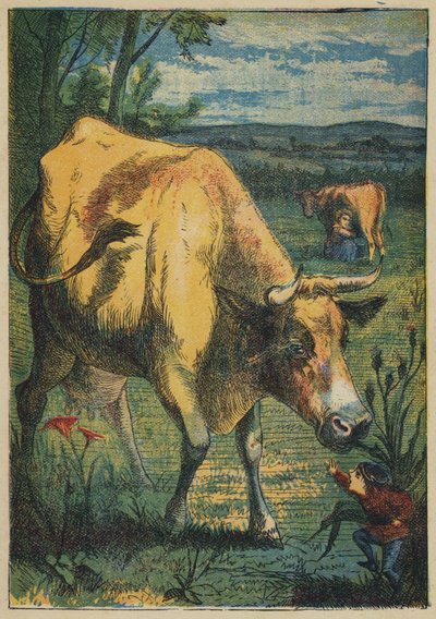 Tom Thumb and the Cow (farge litho) av English School