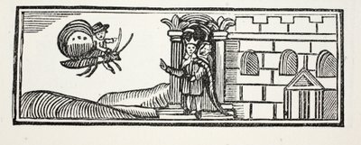 Tom gjemte seg og prøvde å rømme på ryggen av en sommerfugl, illustrasjon fra Chap-books of the Eighteenth Century av John Ashton, pub. 1882 av English School