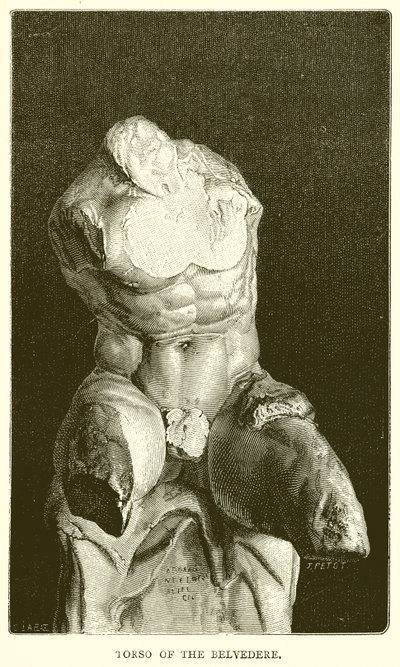 Torso av Belvedere av English School