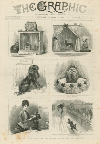 Spielzeughundeschau im Royal Aquarium von English School