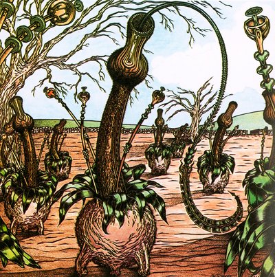 Triffids av English School