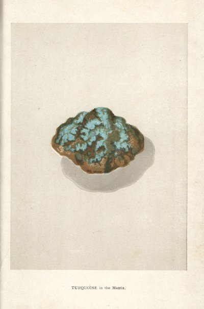 Turkis i matrisen, fra Edwin Streeters «Precious Stones and Gems», London, George Bell & Sons av English School