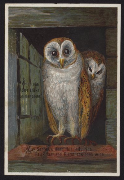 Zwei Eulen schauen aus einer Tür von English School