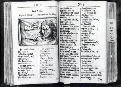 To sider fra Orbis Sensual Pictus av Comenius, 1659 av English School