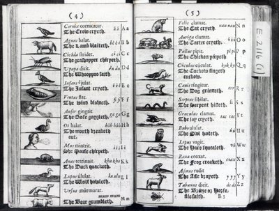 To sider fra Orbis Sensual Pictus av Comenius, 1659 av English School