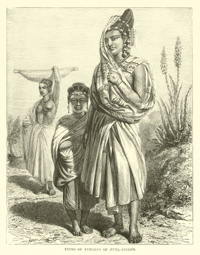 Typer hunner av Futa-Jallon av English School