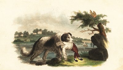 Ukjent bilde av English School