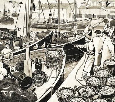 Uidentifisert fiskehavn med fisk fra kai av English School
