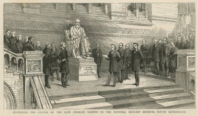 Avduking av statuen av avdøde Charles Darwin i Natural History Museum, South Kensington av English School