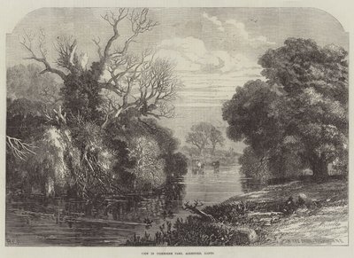 Utsikt i Tichborne Park, Alresford, Hants (gravering) av English School
