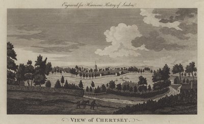 Utsikt over Chertsey, Surrey (gravering) av English School