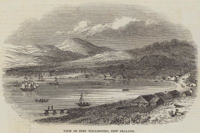 Utsikt over Port Wellington, New Zealand (gravering) av English School