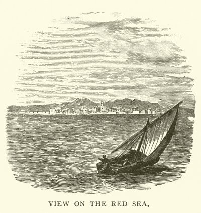 Utsikt over Rødehavet (gravering) av English School
