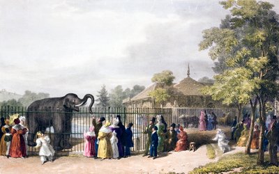 Besøkende til London Zoo, Regent#39;s Park, i viktoriansk tid (fargelitografi) av English School