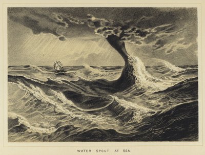 Vanntut på sjøen av English School