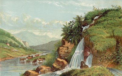 Foss og storfe av English School