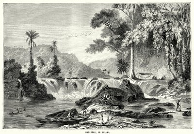 Foss i Guyana (gravering) av English School