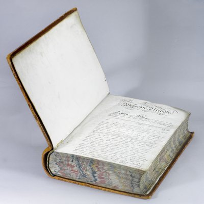 Waterloo Medal Roll, ca. 1815 (penn og blekk på papir i et lærbundet volum) av English School
