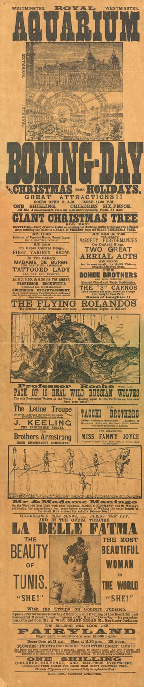 Westminster Royal Aquarium. Annonse av English School