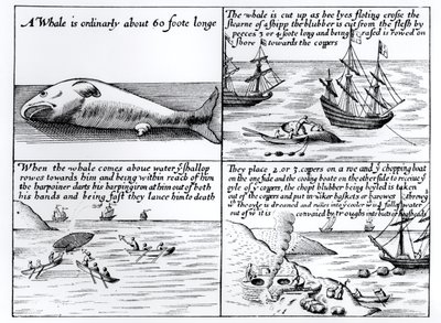 Hvalfangst ved Spitzbergen i 1611 av English School
