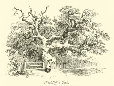 Wickliffs eik av English School