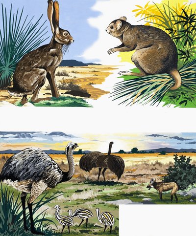 Wildlife montasje av English School