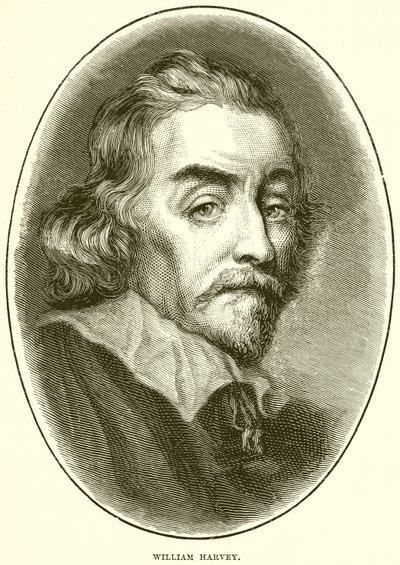 William Harvey av English School