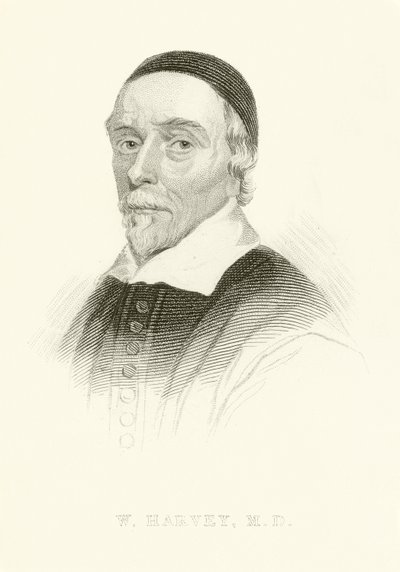 William Harvey av English School