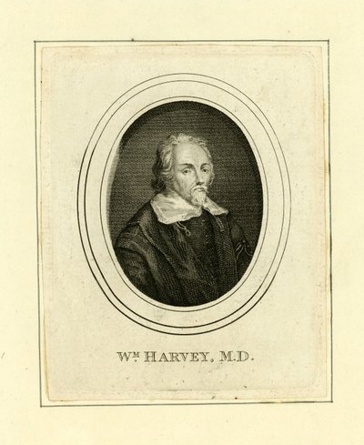 William Harvey av English School