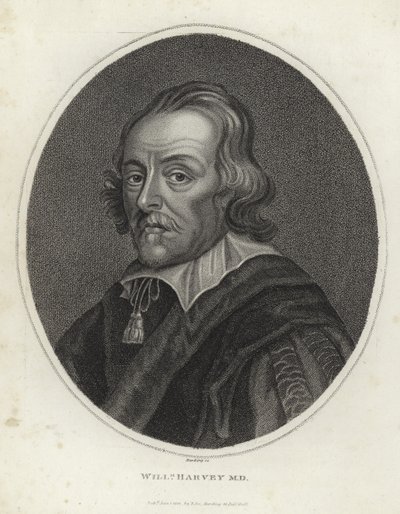 William Harvey av English School