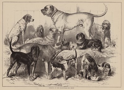 Vinnere på Birmingham Dog Show (gravering) av English School