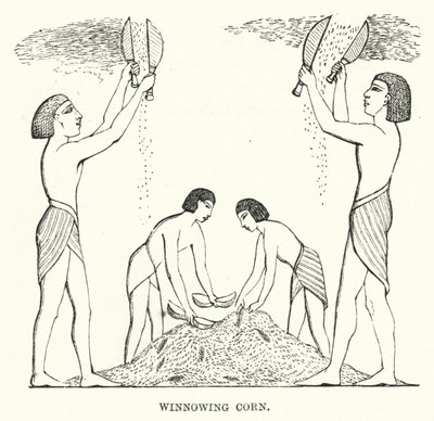 Winnowing Corn (gravering) av English School