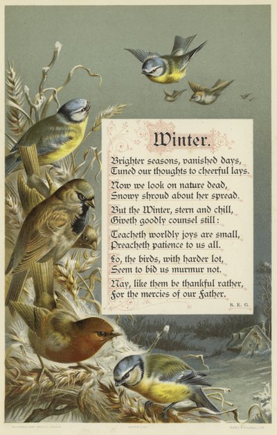 Winter von English School