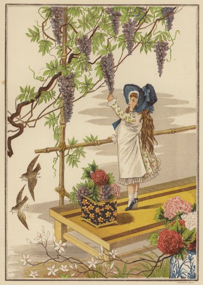 Wisteria (farge litho) av English School