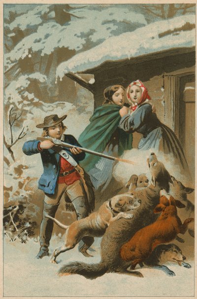 Ulv blir angrepet av hunder mens en ung mann avfyrer en rifle av English School
